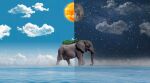  animal clouds cloudy_sky day elephant from_side full_body island moon night night_sky ocean one_piece outdoors photoshop_(medium) realistic sky solo standing star_(sky) starry_sky sun therealmonsato walking water zunesha 
