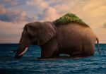  animal artist_name aymenpark clouds cloudy_sky elephant from_side island ocean one_piece outdoors photoshop_(medium) realistic sky solo standing sunset water zunesha 