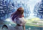  1girl belt brown_hair clouds cloudy_sky grass highres long_hair original red_belt red_scarf scarf sky snowing solo sunlight touchika tree 