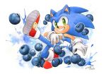  1boy artist_name berry blueberry dated finik food fruit gloves green_eyes looking_at_viewer shoes signature solo sonic_(series) sonic_the_hedgehog watermark white_gloves 