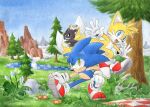  2boys animal_nose blue_eyes blue_fur blue_sky chao_(sonic) finik fox_boy furry furry_male gloves grass green_eyes hedgehog_ears hedgehog_tail highres hill hill_top_zone male_focus multiple_boys multiple_tails open_mouth red_footwear shoes sky smile sneakers sonic_(series) sonic_the_hedgehog tail tails_(sonic) tree two_tails white_gloves yellow_fur 