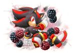  1boy berry blackberry_(fruit) finik food fruit gloves looking_at_viewer red_eyes shadow_the_hedgehog shoes solo sonic_(series) white_gloves 