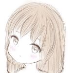  1girl blush brown_eyes brown_hair cram960 expressionless highres long_hair looking_at_viewer original simple_background smile solo white_background 