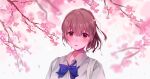  1girl alternate_eye_color alternate_hair_color blue_bow blue_bowtie blurry blurry_background bow bowtie branch cherry_blossoms collared_shirt highres koe_no_katachi long_hair looking_at_viewer milktower nishimiya_shouko open_mouth petals pink_background pink_hair ponytail school_uniform shirt solo upper_body white_background white_shirt 