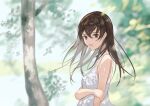  1girl brown_eyes brown_hair dress long_hair looking_at_viewer open_mouth original scenery solo touchika tree upper_body white_dress 