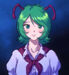  1girl antennae blue_eyes breast_pocket buttons closed_mouth collarbone collared_shirt dress_shirt grey_hair hair_between_eyes highres looking_at_viewer parted_lips pink_lips pocket puffy_sleeves purple_shirt shirt short_hair smile solo straight-on touhou wriggle_nightbug zawabug 