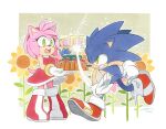  1boy 1girl amy_rose boots cake dated dress finik flower food gloves green_eyes highres holding holding_cake holding_food open_mouth red_dress shoes signature sonic_(series) sonic_the_hedgehog teeth white_gloves 