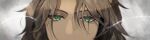  1boy absurdres brown_hair close-up dark-skinned_male dark_skin eye_focus green_eyes highres leona_kingscholar looking_at_viewer male_focus scar scar_across_eye simple_background solo touchika twisted_wonderland 