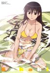  azumanga_daioh azumanga_daiou bikini black_eyes black_hair breasts cleavage fish highres ishihama_masashi long_hair official_art sakaki swimsuit swimsuit 