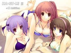  arm_support ayane ayane_(doa) barefoot bikini blue_eyes breast_press breasts brown_eyes brown_hair cleavage dead_or_alive hairband headband highres hitomi iizuki_tasuku kasumi large_breasts long_hair lying multiple_girls ponytail purple_hair red_eyes short_hair swimsuit swimsuit wallpaper 