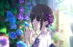  1girl black_hair blunt_bangs blurry blurry_background braid depth_of_field floral_print flower hair_flower hair_ornament idolmaster idolmaster_cinderella_girls idolmaster_cinderella_girls_starlight_stage japanese_clothes kimono light_smile looking_at_flowers morning_glory official_art outdoors shirayuki_chiyo solo upper_body violet_eyes yukata 