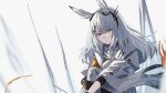  1girl animal_ears arknights armband coat ear_ornament frostnova_(arknights) grab_pigeon grey_eyes grey_hair hair_ornament hairclip highres long_hair looking_at_viewer orange_ribbon rabbit_ears rabbit_girl ribbon scar scar_on_face scar_on_nose simple_background solo white_background white_coat 