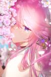  1girl absurdres bare_shoulders blurry bokeh cherry_blossoms cherrymaru collar commentary covered_mouth depth_of_field eyelashes genshin_impact hair_between_eyes hair_ornament highres lens_flare long_hair looking_at_viewer looking_to_the_side pink_hair portrait solo violet_eyes white_collar yae_miko 