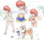  absurdres bikini blush_stickers bottle breasts clouds crab dog food happy heart highres ice_cream navel open_mouth ranma-chan ranma_1/2 redhead shorts simple_background star_(symbol) sunglasses swimsuit variations wanta_(futoshi) white_background 