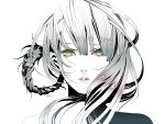  braid close-up face kaine_(nier) lips nier npn silver_hair solo yellow_eyes 