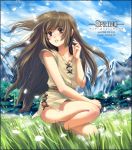  blush brown_eyes brown_hair chiseko1000yeah field grass long_hair petals primula_(tears_to_tiara) solo tears_to_tiara 