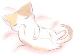  cat cat_focus mitsuki_hina no_humans sleeping 