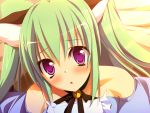  blush catgirl eru game_cg green_hair long_hair nimura_yuushi osananajimi_wa_daitouryou twintails violet_eyes 