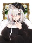  1girl :q absurdres animal_ears beret black_nails blush commentary_request fur-trimmed_jacket fur_trim grey_eyes grey_hair hair_over_shoulder hat highres hololive jacket lion_ears lion_girl long_sleeves looking_at_viewer mashiro_io multicolored_hair nail_polish off_shoulder picture_frame shishiro_botan shishiro_botan_(3rd_costume) short_hair solo streaked_hair tongue tongue_out upper_body virtual_youtuber white_background 