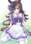  1girl animal_ears arm_support brown_footwear brown_hair commentary_request grass hair_over_one_eye hat horse_ears horse_tail loafers long_hair looking_at_viewer miri_(ago550421) pleated_skirt purple_headwear rice_shower_(umamusume) school_uniform shoes sitting skirt smile tail thigh-highs tilted_headwear tracen_school_uniform umamusume violet_eyes white_skirt white_thighhighs zettai_ryouiki 