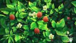  artist_logo berry day flower nature no_humans original outdoors plant scenery xingzhi_lv 