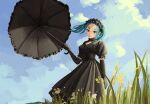  1girl absurdres aqua_hair black_dress black_gloves black_headwear black_umbrella closed_mouth clouds day dress elbow_gloves gloves grass green_eyes highres holding holding_umbrella looking_at_viewer medium_hair monogatari_(series) nemo_ringo ononoki_yotsugi outdoors puffy_short_sleeves puffy_sleeves short_eyebrows short_sleeves solo thick_eyebrows umbrella 