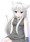  blue_eyes cat_ears cat_tail dress gloves highres long_hair silver_hair sitting solo tail takayuki_hiyori white_hair 