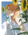  1girl absurdres bare_shoulders blue_eyes clouds cloudy_sky dress flower hair_between_eyes hand_on_knees hand_on_own_knee highres leaf looking_to_the_side oekaki_taro orange_hair original sidelocks sitting sky solo sunflower sweatdrop upper_body white_dress 