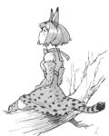  1girl animal_ears bow bowtie branch breasts cat_ears cat_girl cat_tail closed_mouth elbow_gloves full_body gloves greyscale high-waist_skirt highres kemono_friends looking_up monochrome natsu_(rodysanp) serval_(kemono_friends) serval_print short_hair simple_background sitting skirt small_breasts tail thigh-highs white_background 