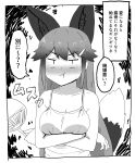  1girl :t absurdres alternate_costume animal_ears bare_shoulders blush casual crossed_arms extra_ears fox_ears fox_girl fox_tail hair_between_eyes hair_ornament hairclip hand_fan highres kemono_friends kumasyan1998 long_hair paper_fan pout sidelocks silver_fox_(kemono_friends) solo tail tank_top translation_request upper_body 