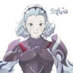  1girl armor closed_mouth fire_emblem fire_emblem_fates gomsuk4 grey_eyes grey_hair hair_slicked_back light_smile looking_at_viewer solo sophie_(fire_emblem) upper_body 
