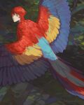  1boy bird bird_boy driftwoodwolf expressionless fantasy feathered_wings feathers from_behind harpy looking_at_viewer macaw male_focus monster_girl original parrot redhead shadow wings 
