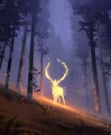  absurdres antlers commentary deer english_commentary fire glowing grass highres jocelin_carmes night no_humans original outdoors scenery signature sparks 