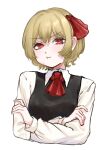  1girl ascot black_vest blonde_hair closed_mouth collared_shirt hair_ribbon highres long_sleeves looking_at_viewer pout red_ascot red_eyes red_ribbon ribbon rumia shirt short_hair simple_background solo touhou upper_body vest white_background white_shirt yomogi_0001 
