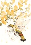  2others animal_focus branch bug carrying creature highres holding insect_wings leaf multiple_legs multiple_others myun_(moukin_no_ana) no_humans original outdoors painting_(medium) traditional_media watercolor_(medium) white_background wings 