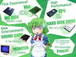  blue_screen_of_death braid cpu crt cvbhyuga disk english green_hair hard_drive long_hair me monitor o_o os pale_skin parody shimoogawa solo sound_card sweatdrop text twin_braids video_card windows 