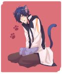  akiyoshi akiyoshi_(tama-pete) animal_ears bad_id blue_eyes blue_hair cat_ears cat_tail fang kaito male sitting solo tail vocaloid 