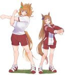  2girls :d ;) absurdres animal_ears benikirin full_body grass_wonder_(umamusume) gym_uniform highres horse_ears horse_girl horse_tail looking_at_another multiple_girls one_eye_closed ponytail simple_background size_difference smile stretching taiki_shuttle_(umamusume) tail tracen_training_uniform umamusume white_background 