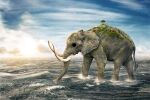  animal clouds cloudy_sky day elephant empty_eyes from_side full_body highres island male_focus ocean on_water one_piece outdoors realistic sky solo standing sunset thanawat_thepphongsri tree tusks walking water zunesha 