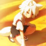  1girl animal_ears black_skirt closed_mouth full_body gloves hair_between_eyes inubashiri_momiji japanese_clothes pleated_skirt red_eyes shirosato short_hair short_sleeves skirt socks solo squatting tail touhou white_gloves white_hair white_socks wolf_ears wolf_tail 