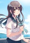  1girl amamiya_chiharu bird blue_sky breasts brown_hair long_hair looking_at_viewer medium_breasts ocean original outdoors sailor_collar school_uniform seagull serafuku short_sleeves sidelocks sky solo 