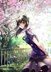  black_hair brown_hair cherry_blossoms fence grey_eyes hair_ribbon leaning_forward long_hair long_skirt looking_back love_plus miyazaki_byou petals ponytail ribbon smile solo standing takane_manaka 