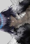  1boy alternate_costume arthropod_boy black_fur black_hair blue_eyes cape closed_mouth coat collared_shirt diamond_hairband expressionless fate/grand_order fate_(series) fur-trimmed_coat fur_collar fur_trim grey_background hair_between_eyes highres insect_wings looking_at_viewer male_focus medium_hair nozz177 oberon_(fate) oberon_(third_ascension)_(fate) official_alternate_costume official_alternate_hair_color shirt sidelocks simple_background solo spoilers upper_body white_shirt wings 