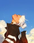  1girl animal black_choker black_jacket blue_sky cat choker closed_eyes clouds cloudy_sky commentary english_commentary from_side hair_bun highres jacket looking_up original profile relaxing sam_yang single_hair_bun sky smile solo white_hair 