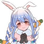  1girl animal_ear_fluff animal_ears black_gloves blush braid brown_eyes carrot_hair_ornament closed_mouth detached_sleeves don-chan_(usada_pekora) dot_nose food-themed_hair_ornament gloves hair_ornament hololive monoi10 own_hands_clasped own_hands_together rabbit_ears simple_background smile solo twin_braids upper_body usada_pekora virtual_youtuber white_background 