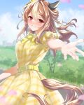  1girl absurdres animal_ears belt blush brown_hair copano_rickey_(umamusume) day dress gmmrn hair_between_eyes highres horse_ears horse_girl horse_tail long_hair multicolored_hair open_mouth outdoors outstretched_arm petals reaching reaching_towards_viewer red_eyes short_sleeves smile solo streaked_hair tail umamusume upper_body yellow_dress 
