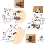  1girl animal_ear_fluff animal_ears black_sleeves black_thighhighs blue_eyes cat chibi commentary_request covering_with_blanket drill_hair heterochromia highres karenina:_ember_(deed_of_snow_leopard)_(punishing:_gray_raven) karenina:_ember_(punishing:_gray_raven) karenina_(punishing:_gray_raven) leopard_ears leopard_tail long_sleeves lying maid middle_finger multiple_persona myam_(123ab456c) photo_inset punishing:_gray_raven reference_photo shaded_face shirt tail thigh-highs translation_request twin_drills white_background white_hair white_shirt yellow_eyes 