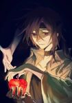  1other androgynous apple artist_request bad_source black_background black_choker black_headband black_shirt brown_eyes brown_hair choker closed_mouth collarbone collared_jacket dark_background food frown fruit green_jacket headband holding holding_food holding_fruit jacket kurohebi len&#039;en long_sleeves looking_at_object medium_hair non-web_source outstretched_arm reaching shirt source_request thick_eyebrows upper_body wide_sleeves 