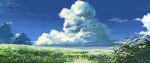 blue_sky clouds cumulonimbus_cloud day grass highres nature no_humans original outdoors sazuku_01 scenery sky 