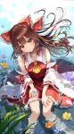  1girl ascot bare_shoulders blush bow brown_eyes brown_hair closed_mouth detached_sleeves frilled_skirt frills fujiwara_aoi hair_between_eyes hair_bow hair_tubes hakurei_reimu highres japanese_clothes long_hair nontraditional_miko red_bow red_skirt ribbon-trimmed_sleeves ribbon_trim sidelocks skirt smile solo touhou twitter_username water wide_sleeves yellow_ascot 